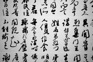 chinesisch anki karteikarten